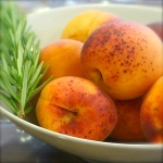 Abricots du roussillon